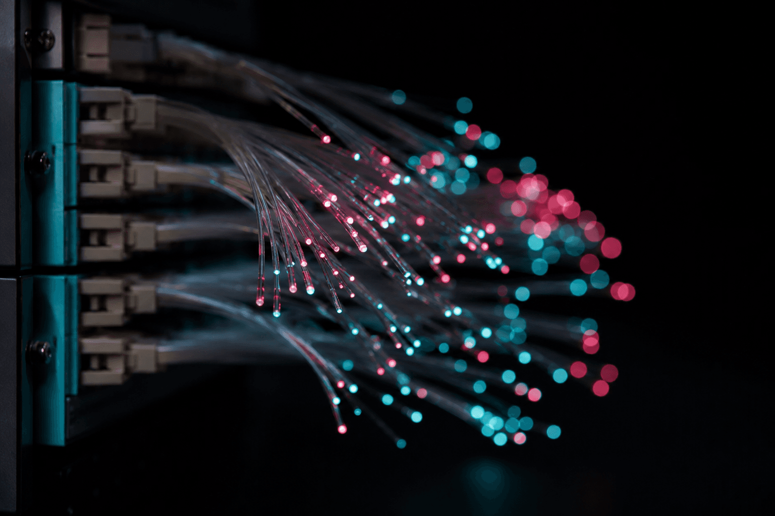 Close-up of glowing fiber-optic strands